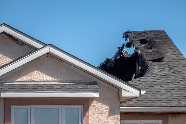 Top rated local Fire Damage Removal specialists in Montgomeryville, PA